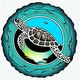 EvolveNet: A Meta-Attention Recommendation system