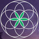 Limitless Energy LLC