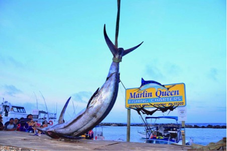 Marlin Queen